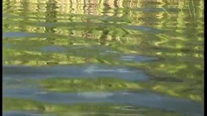 Жомга.Татарча Караоке