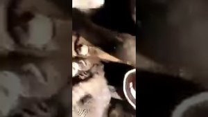 Замена резинок теплообменника мерс 112 мотор