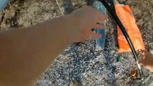 Пеленгас, Азовская кефалька! Сезон в разгаре! Море и рыбалка)