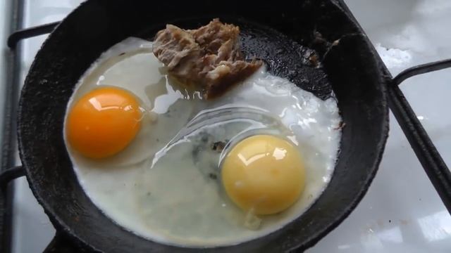 Почему вам СТОИТ завести курицу? | Школа начинающего птицевода