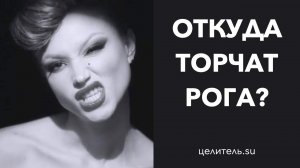 №130 Душа  Откуда торчат рога  Часть 2