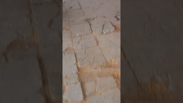 Хайфон(1)
