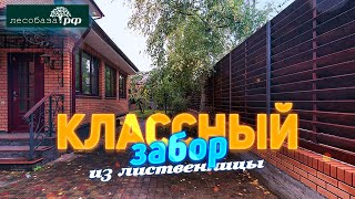 Забор из лиственницы простое и отличное решение