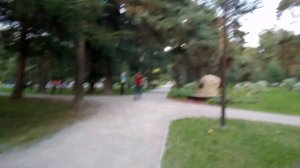 Москва 478 Аршиновский парк лето вечер