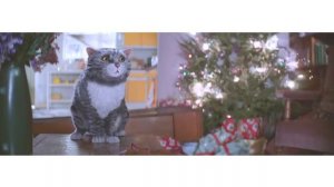 Короткометражный рождественский фильм про кота (с переводом)