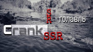 р. Протва / Ловля голавля на кренки SR/SSR