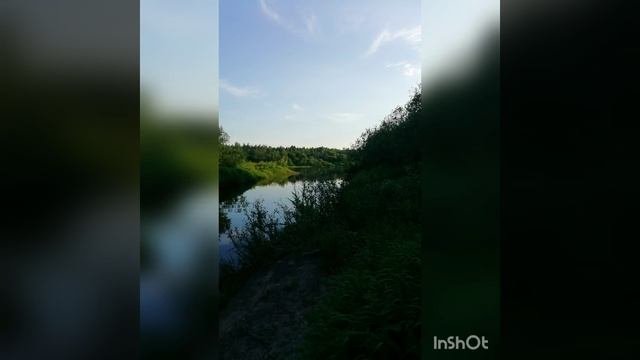 Соловей