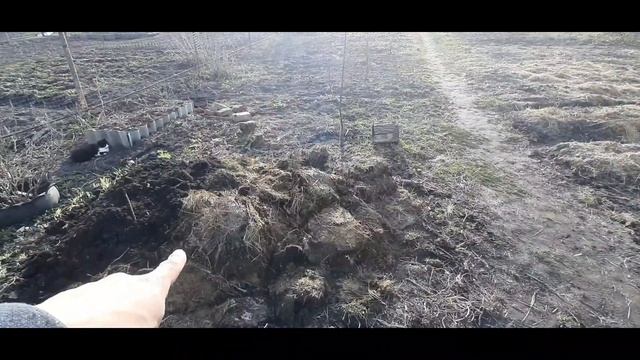 Самое лучшее удобрение!