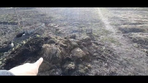 Самое лучшее удобрение!