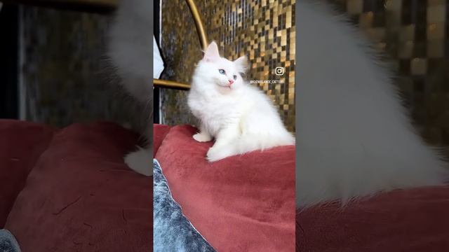 12 января 2024 г. смотреть онлайн