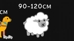 размеры животных часть 3