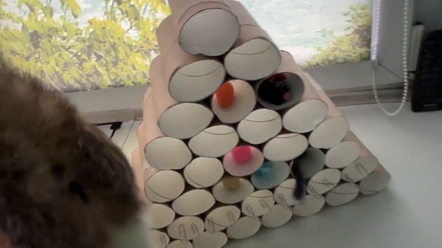 Игровая пирамидка для кошки своими руками смотреть онлайн