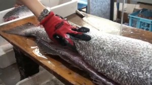 Япония Морепродукты - Обработка и Разделка Огромной Рыбы На Филейные Части
