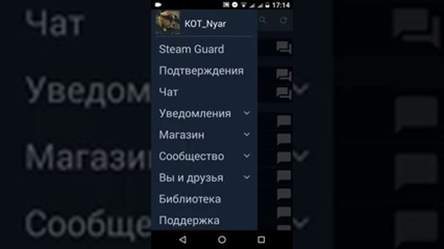 Как посматреть сколько дней активирован Steam Guard