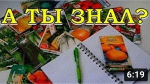 ПЛАН посева ОВОЩЕЙ на сезон 2021г. (памятка-шпаргалка)