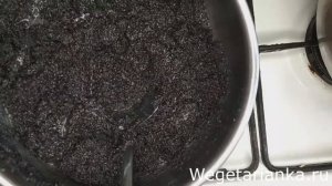 Идеальный МАКОВЫЙ пирог без яиц!?Самая вкусная маковая начинка!