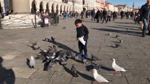 Piazzetta San Marco