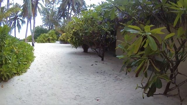 Отдых на Мальдивах - Summer Island Maldives смотреть онлайн