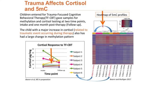 Inside Neuroscience: How the Brain Reacts to Stress смотреть онлайн