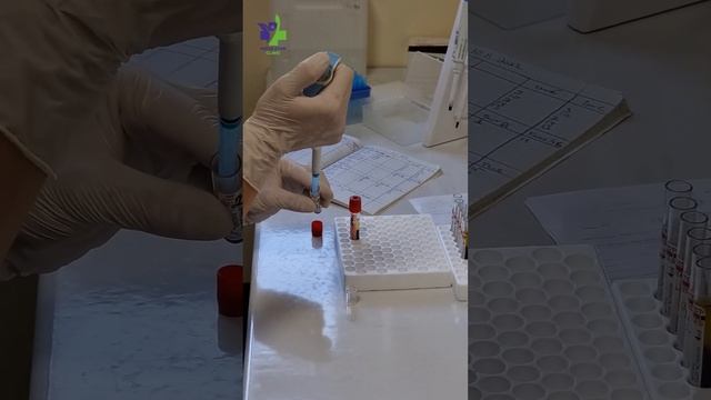 Процесс анализа биоматериала на гормоны методом ИХЛА.
