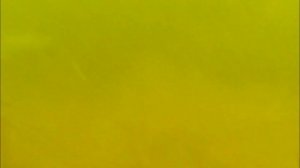 Закормочный кораблик из игрушки.