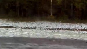 Дорога Москва-Вологда