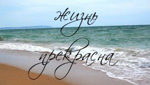 Жизнь прекрасна.