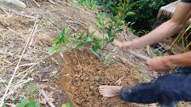 Joy From Pets, Building Life, Episode 28 смотреть онлайн