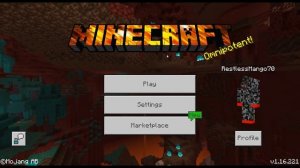 Custom Minecraft Title For Bedrock (Download in Description)