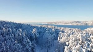 Музыка лечит сердце и сосуды ❄️ Нежная музыка, успокаивает нервную систему! Падал снегснег