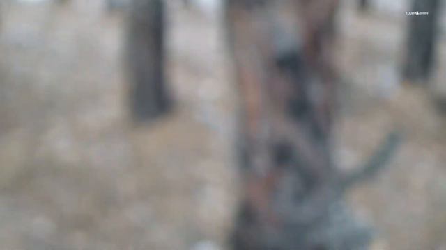 Жёсткий Уральский коп в ноябре! смотреть онлайн