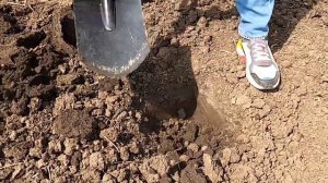 Инструкция по отбору почвы