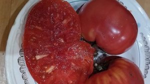 Коллекционный томат Болгарское чудо