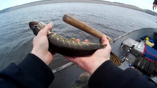 Zip baits Orbit 110sp, Щука в березні , Івачів смотреть онлайн