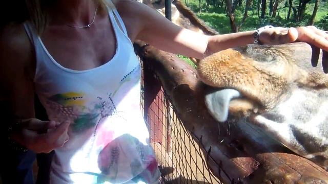 giraffe centre - nbo 2 смотреть онлайн