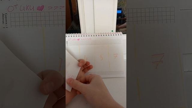 лапки котиков ??
