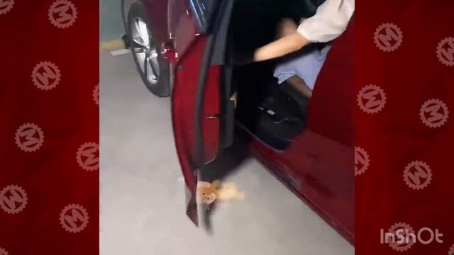 Лучшая прокачка