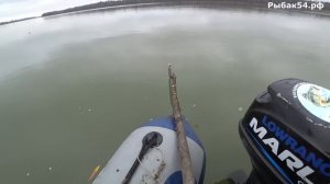 ОСЕННЕЕ КОСИЛОВО! Закинул РЕЗИНКИ с БЕРЕГА и НАЧАЛОСЬ! РЫБАЛКА ОСЕНЬЮ на РЕЗИНКИ ЖИВЕЦ VS СИЛИКОН!