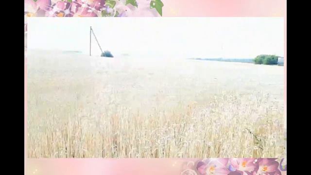 "Урак өсте", "Көлтә бәйләү" смотреть онлайн