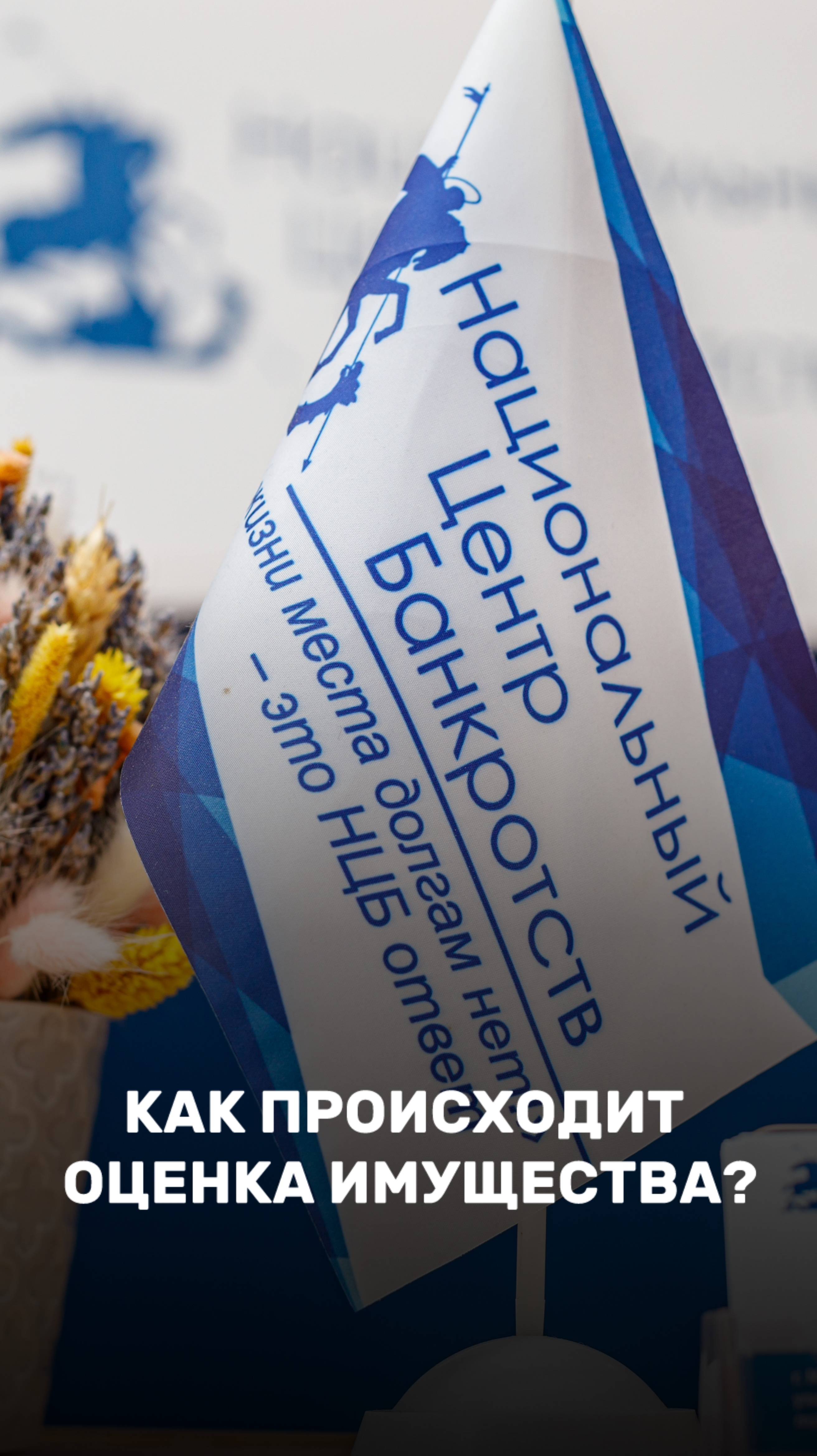Важность этапа оценки имущества в процедуре банкротства