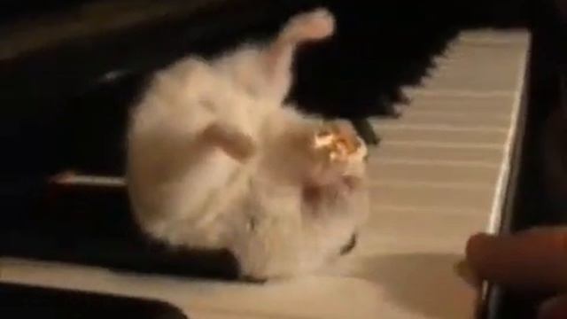 Нямки на трапезе смотреть онлайн