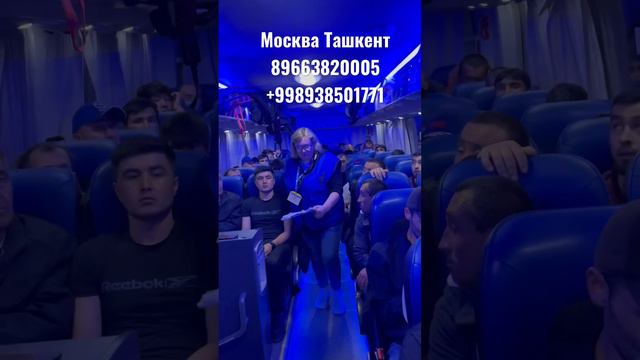 Москва Ташкент автобус через автовокзал Новоясеневская до ташкента через Ташкент Таджикистан