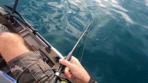 Best Fishing Spots in Coromandel, New Zealand | Part 2