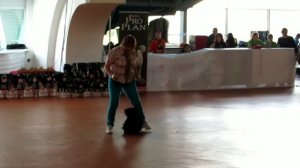 Дара#Дарочка#скотч-терьер# фристайл