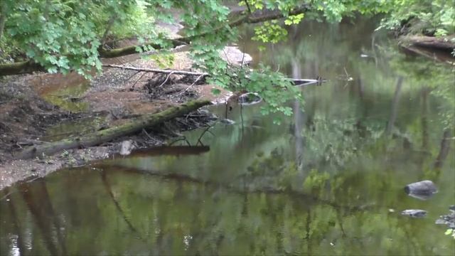 Поход на Кемку. Ночёвка.Рыбалка. Замечательная лесная речка смотреть онлайн