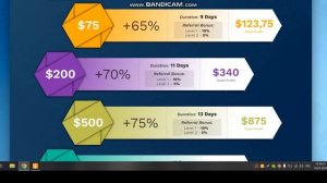 #MoneyFlow TOP_проект. Выйди с 5 $ на приличный доход на пассиве!