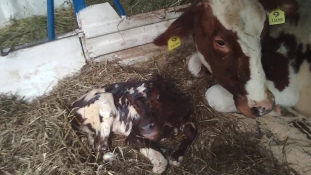 26 февраля 2020 г. смотреть онлайн