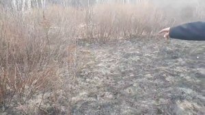 Поджигатель леса задержан в Агинском районе Забайкалья