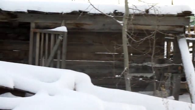 zima Dom смотреть онлайн