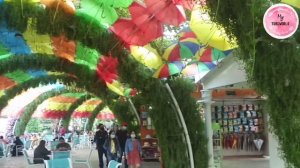 Miracle Garden Dubai 2021 - World’s Largest Flower Garden